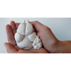 3D odlitky psích tlapek